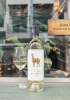 Rượu vang trắng Vina De Chile