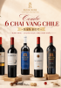 Combo 6 chai rượu vang Chile best seller