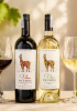 Rượu vang Vina De Chile