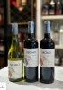 Rượu vang Chile Aromo Merlot