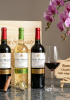 Quà tặng cao cấp 3 chai vang Chile Santo Molina