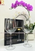 Bộ 4 ly pha lê Tiệp uống vang Gourmet 715ml