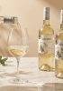 Rượu vang trắng Chile Aromo Sauvignon Blanc