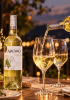 Rượu vang trắng Chile Aromo Sauvignon Blanc