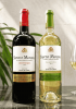 Rượu vang Chile Santo Molina