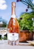 Vang sủi tăm Ý Piccini Goccia Rosa (Rose Sparkling)