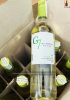 Rượu vang trắng Chile G7 Sauvignon Blanc