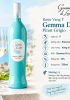 Rượu vang Ý Gemma Di Luna Pinot Grigio 750ml