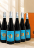 Rượu vang Ý CF Collefrisio Morrecine Montepulciano D’Abruzzo