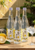 Rượu mơ Yuzu Oyama Tennyo No Hagoromo 500ml