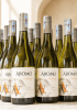 Rượu vang Chile Aromo Chardonnay
