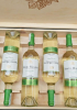 Quà tặng cao cấp 6 chai vang Chile Santo Molina