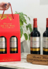 Quà tặng giá rẻ vang Chile Santa Cruz