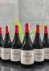 Rượu vang Chile Dagaz Vigno Carignan cao cấp