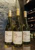 Rượu vang Chile G7 Clasico Chardonnay