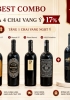 Combo 4 chai rượu vang Ý 17% tặng 1 chai