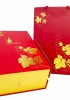 Hộp quà tặng tết rượu vang Ý Veronica Semi