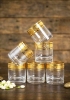 Bộ ly uống whisky mạ vàng họa tiết hoa mai Crystalite 300ml