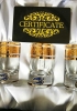 Bộ ly uống rượu mạnh mạ vàng hoa mai Crystalite 45ml