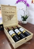 Quà tặng cao cấp 3 chai vang Chile Santo Molina