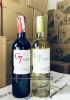 Rượu vang trắng Chile G7 Sauvignon Blanc