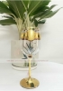 Bộ 6 ly uống rượu vang Rona mạ vàng 24k hoạ tiết Versace 450ml