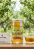 Rượu mơ Nhật Bản Nakano Umeshu 160ml [có quả]