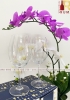 Bộ 6 ly thuỷ tinh uống rượu vang Sylvia