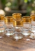Bộ ly uống rượu mạnh mạ vàng hoa mai Crystalite 45ml