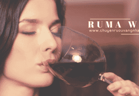 Địa chỉ bán rượu vang giá rẻ uy tín Ruma Wine